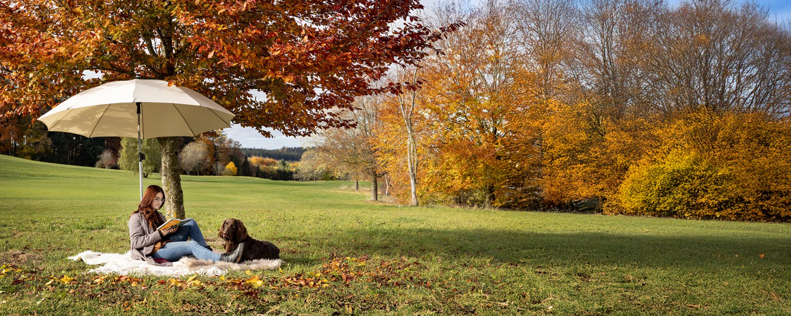 Schneider Schirme Locarno 220 cm Ø in ecru, in use during a cozy autumn break – available in various sizes, shapes and colors. A woman sits with her dog on a blanket under the Schneider Locarno sun umbrella in Ecru, reading a book. Right next to the parasol stands a tree with autumn-colored leaves, with a meadow and forest in the background.